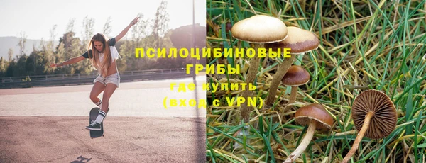 МДПВ Аркадак