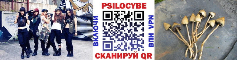 Галлюциногенные грибы мухоморы  Свободный 